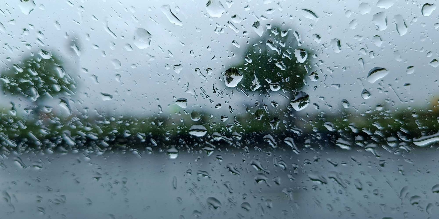 Arbres vus à travers une vitre couverte de gouttes d'eau