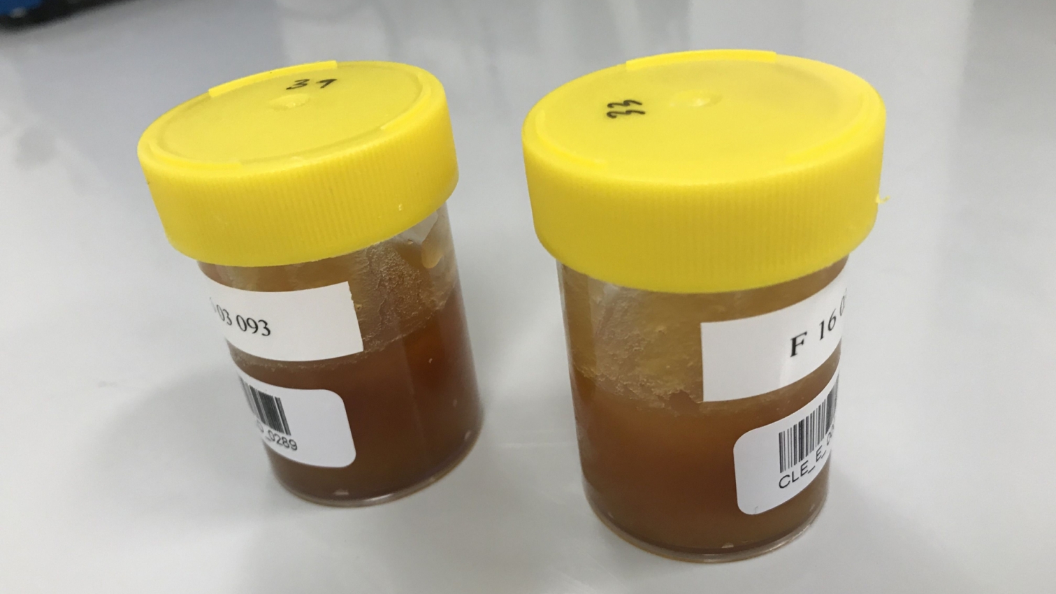 L’analyse des isotopes stables permet de distinguer le miel de manuka authentique (verre de droite) des contrefaçons. 