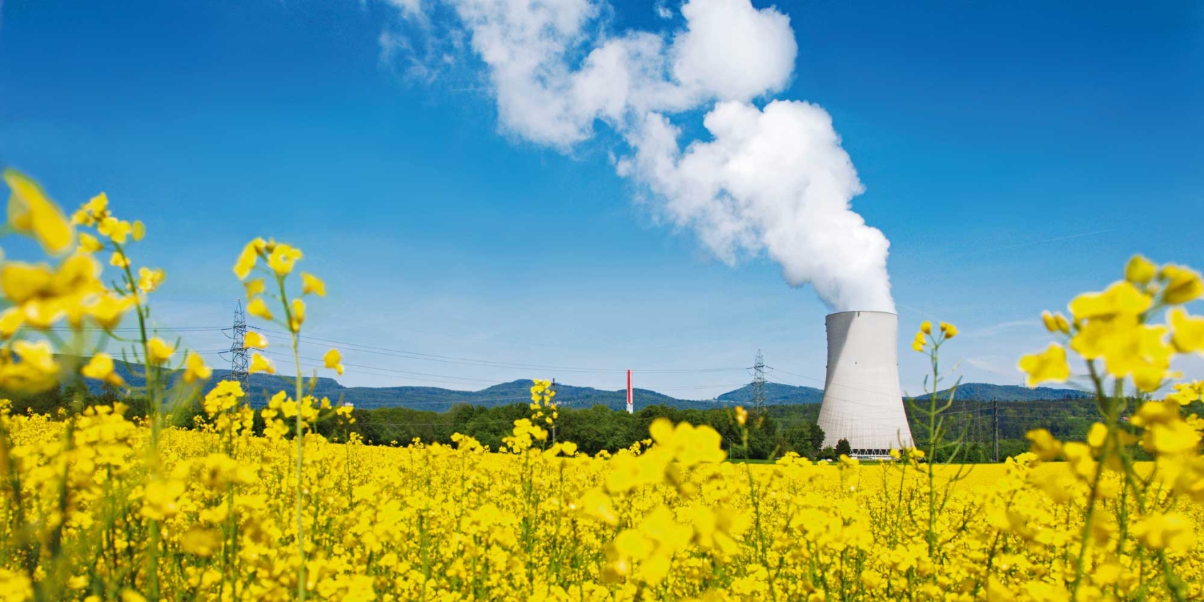 Centrale nucléaire de Gösgen avec des champs de colza en fleurs au premier plan