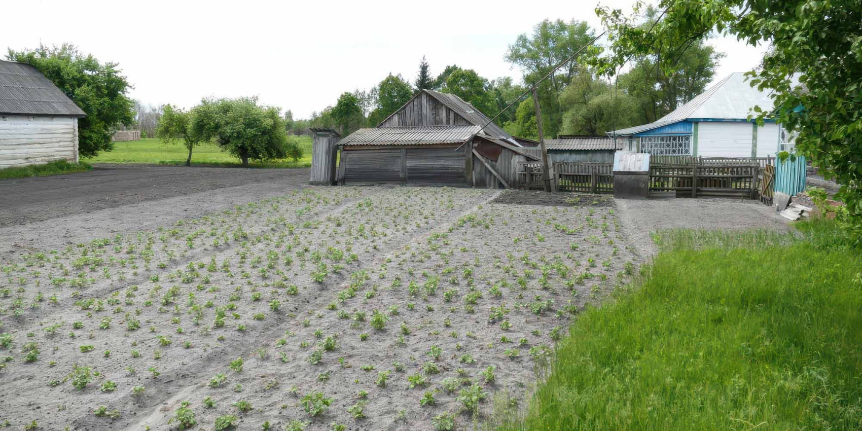 Production alimentaire dans la zone d’exclusion de la population de Tchernobyl