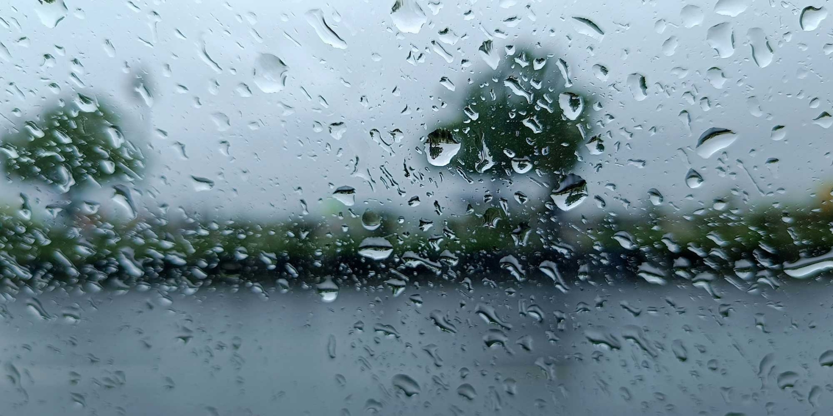 Arbres vus à travers une vitre couverte de gouttes d'eau